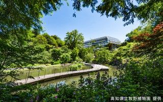 高知県立牧野植物園の写真