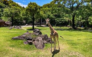 のいち動物公園の写真