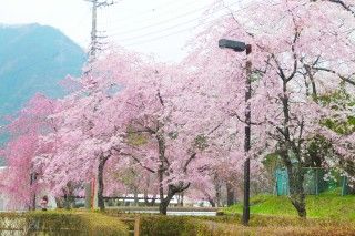 鬼怒川公園の写真