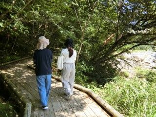 大滝河川遊歩道の写真