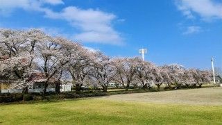 KAWAJUN今市スポーツパーク（今市運動公園）の写真