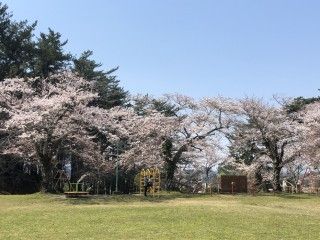 小牛田公園