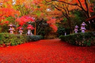 胡宮神社の写真