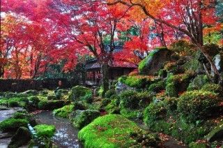 石の寺 教林坊の写真