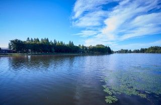 水元公園の写真