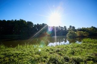 水元公園