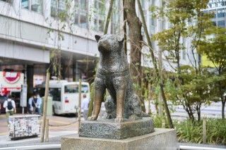 忠犬ハチ公像