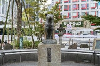 忠犬ハチ公像の写真