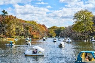 井の頭恩賜公園の写真