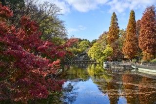 井の頭恩賜公園