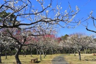 青葉の森公園