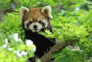 市川市動植物園の写真