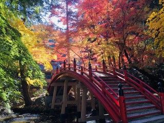 今高野山