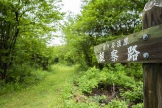 八幡湿原