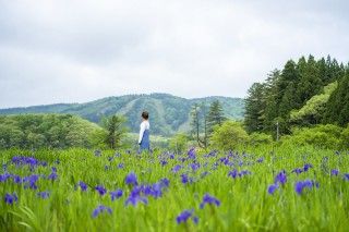 八幡湿原の写真