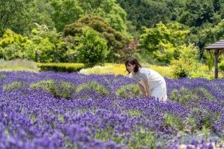 まきばの館の写真