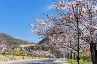 みやま公園