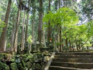 富貴野山宝蔵院石仏群の写真