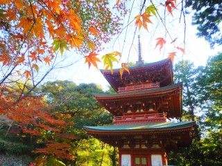 医王山油山寺の写真