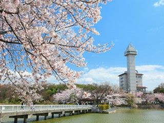 スカイワードあさひの写真