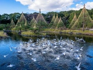 白鳥庭園の写真