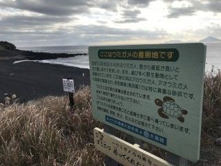 砂の浜