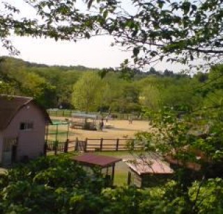 「P.N.癒し大好きかな」さんからの投稿写真＠マザー牧場