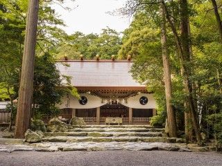 椿大神社の写真