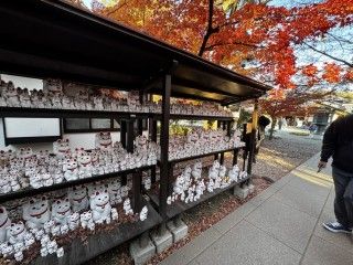 「P.N.のんびり太郎」さんからの投稿写真＠豪徳寺