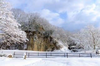 やくの玄武岩公園の写真