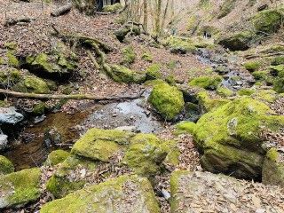 御岳山ロックガーデン