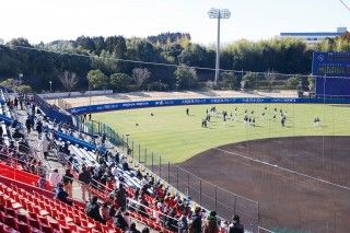 宮崎市生目の杜運動公園 野球場の写真