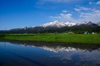 芦別岳の写真