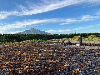 利尻島