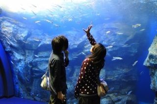 北の大地の水族館 山の水族館の写真