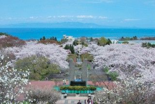 オニウシ公園の写真