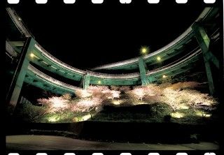 河津七滝ループ橋