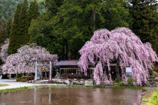 朝日町 青屋地区 神明神社の写真