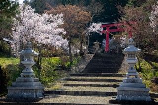 飛騨東照宮の写真