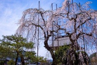 宝蓮寺の写真