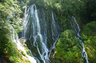 乗鞍山麓五色ヶ原の森の写真