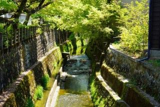 江名子川遊歩道の写真