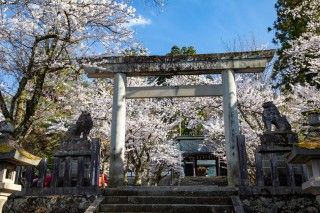 飛騨護国神社の写真