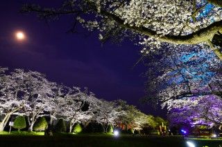 宮川緑地公園の写真