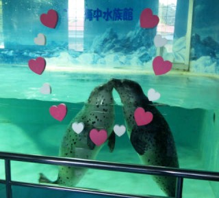 「P.N.みどり」さんからの投稿写真＠下田海中水族館