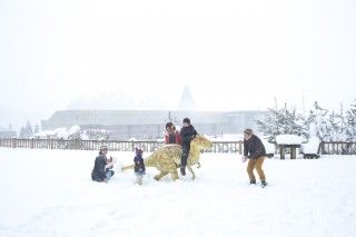 かつやま恐竜の森（長尾山総合公園）