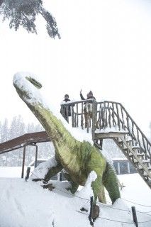 かつやま恐竜の森（長尾山総合公園）