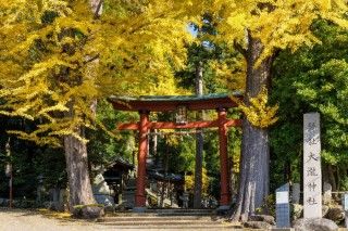 岡太神社・大瀧神社の写真