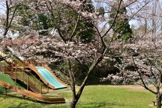 うのけ総合公園の写真