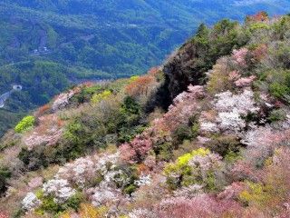 寒霞渓（神懸山）
